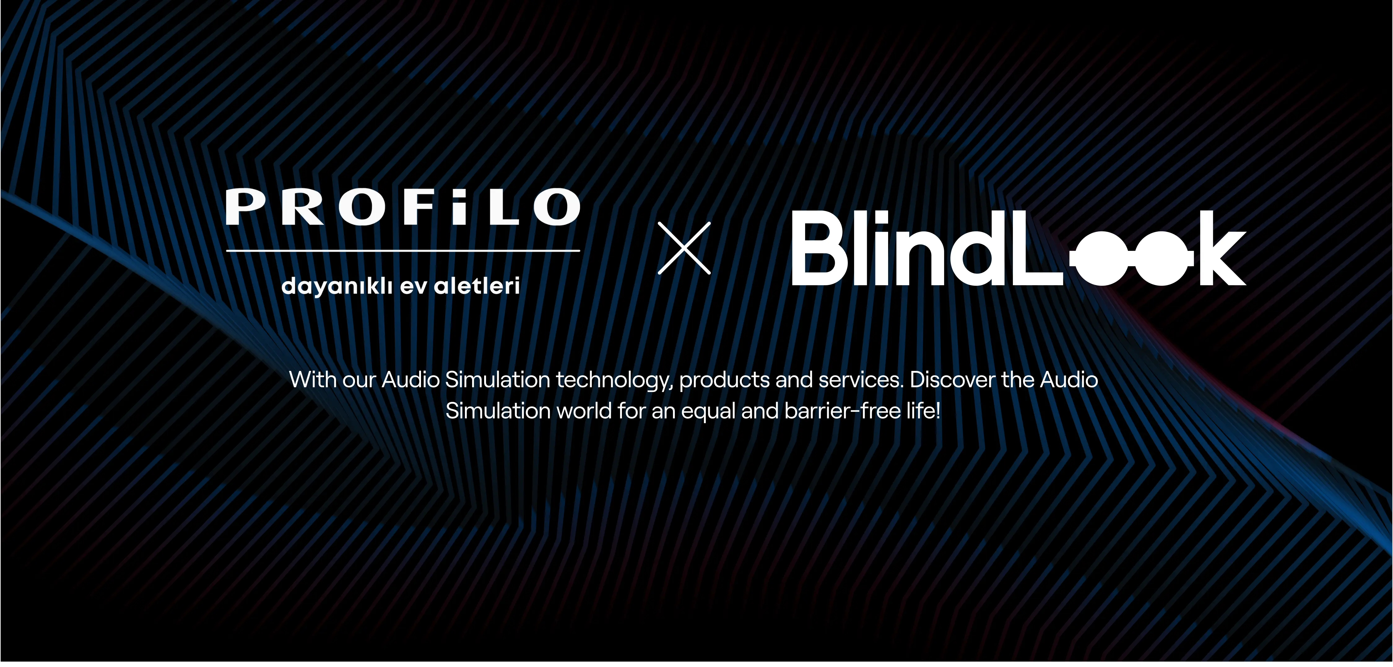 Profilo Ev Aletleri Brand Profile