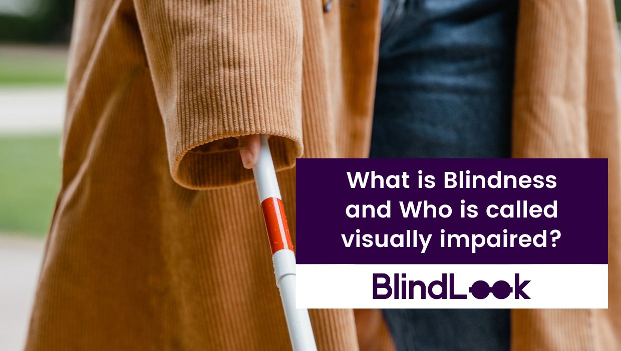 On the screen a visually impaired person is holding her cane.